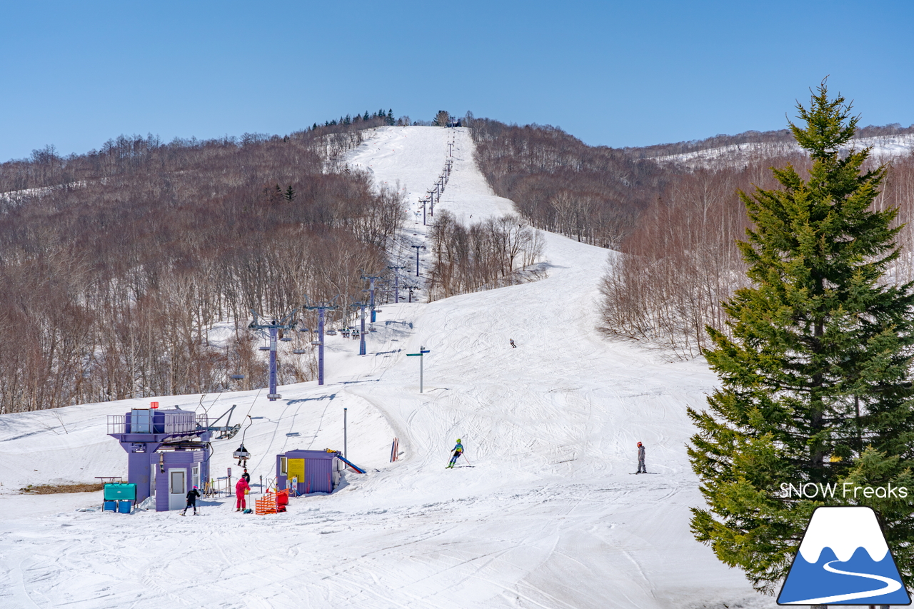 朝里川温泉スキー場｜豊富な残雪のおかげで、4月10日（日）まで営業延長中！日本海を眺めながら、のんびり春スキー＆スノーボードを楽しみましょう♪